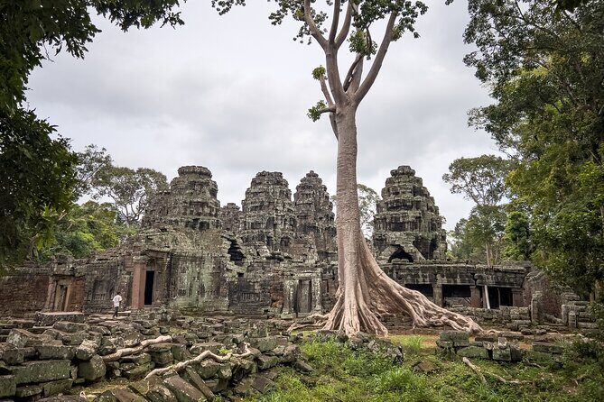 Siem Reap: Bike the Angkor Temples - Full-Day 30km Tour - Price, value, and the real cost of a bike day at Angkor