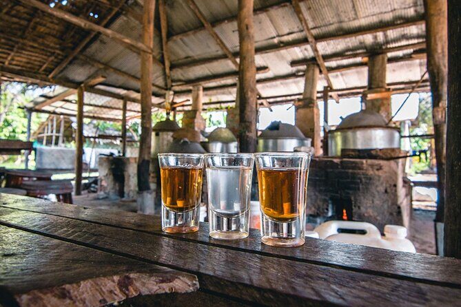Siem Reap Countryside Sunset Vespa Tour / Tuk Tuk Available - Who This Tour Fits Best (and Who Might Prefer the Car)