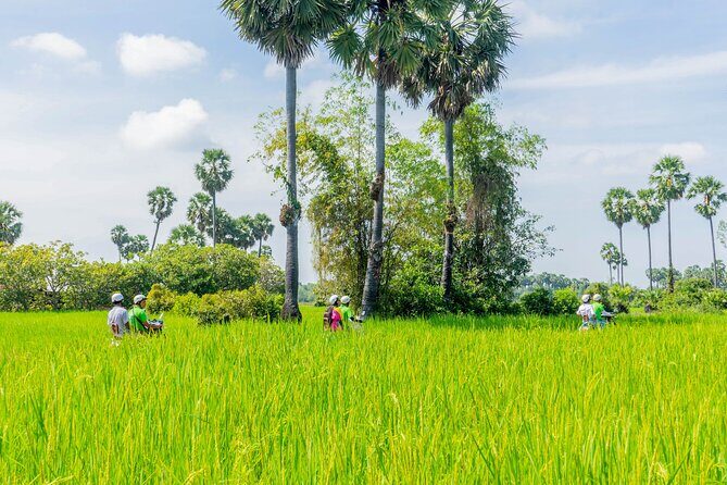 Siem Reap Countryside Vespa Tour / Tuk Tuk Available - West Baray temple and the monk blessing (what you’re really there for)