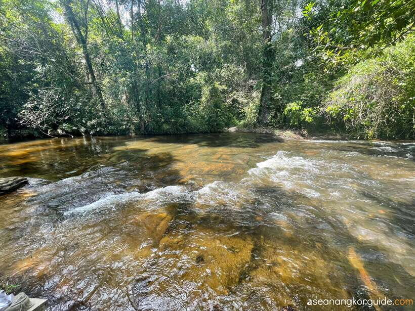 Siem Reap: Kulen Mountain Small Group Tour with Picnic Lunch - Guides and drivers: what you should look for on the day
