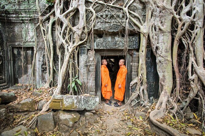 Siem Reap Private Day Tour: Angkor Wat Sunrise, Bayon & Ta Prohm - Ta Prohm: the jungle-overgrown temple stop that gives texture