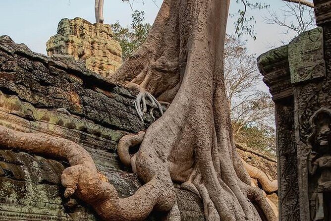 Siem Reap Private Full Day Angkor Wat Tour with Sunset or Sunrise - Private vehicle and comfort details that actually matter