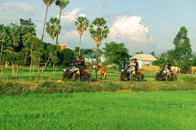 Siem Reap: Quad Bike Tour of Local Villages - Rice Paddies, Water Buffalo, and Wildlife After Dark