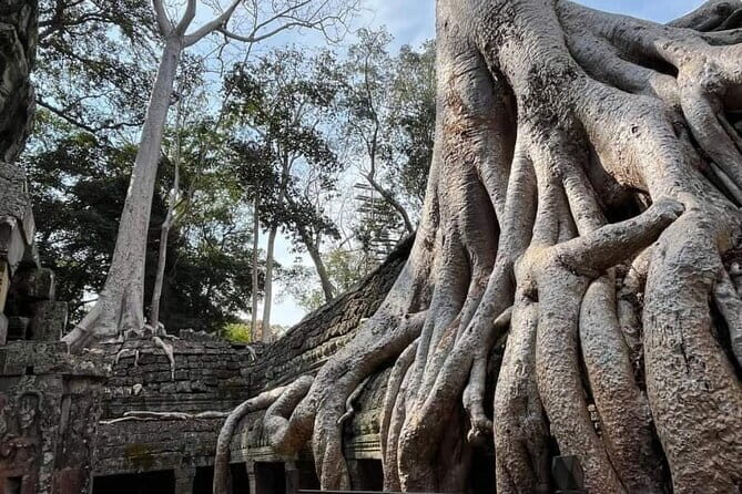 Siem Reap Temple Tuktuk Tour: Explore Angkor Wat and beyond. - Stop 1: Angkor Wat With Time to See More Than Photos