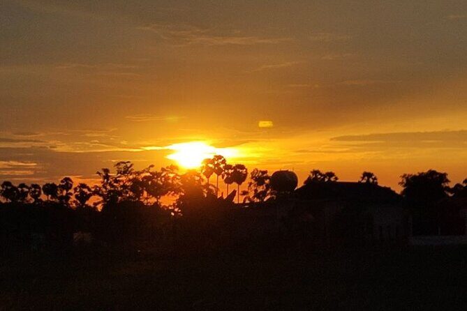 Small Group Countryside Bike Tours, Sunset & Picnic - Sunset Wrap: Golden Fields With a Cold Drink