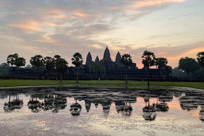 Sunrise Tour of Angkor Temples from Siem Reap - Ta Prohm after the sunrise: movie scenes, real stone