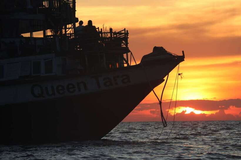 Sunset Dinner Tour: Tonle Sap Lake Floating Village - The mini Tara cruise: what you’re really seeing on the water
