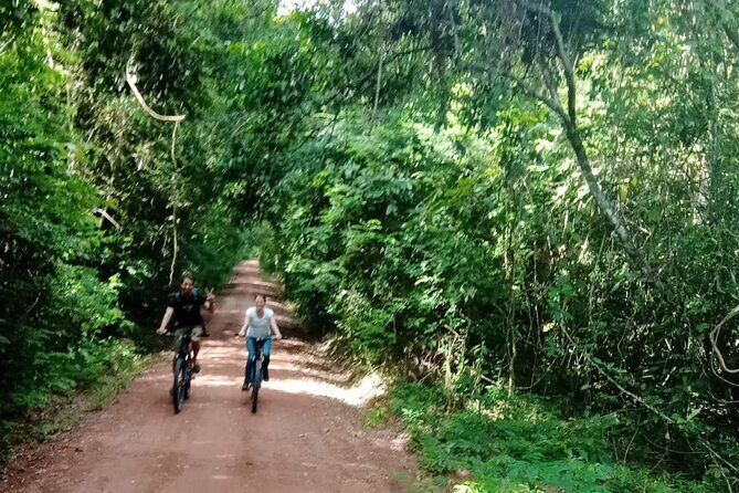 Sunset or sunrise bicycle tour around Angkor Wat and nearby temples - Why biking Angkor feels better than another bus-and-line day