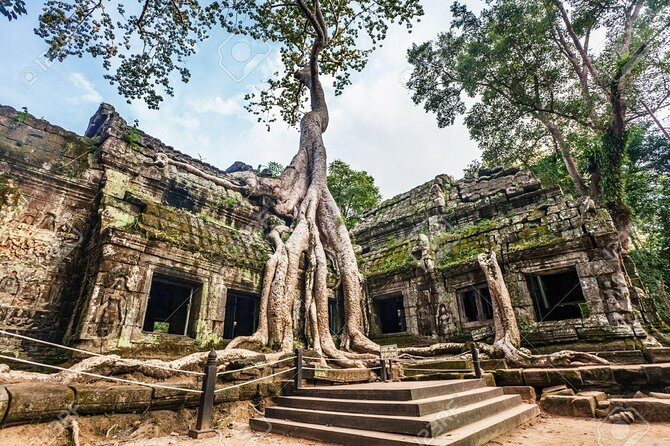Sunset or sunrise bicycle tour around Angkor Wat and nearby temples - Stop 3: Ta Prohm, aka the jungle-with-a-ruin vibe