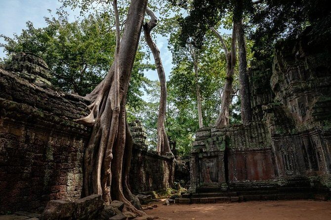 The Ultimate Angkor Wat Temple Private Day Trip - Tickets, entry fees, and the lunch gap: plan around what’s missing