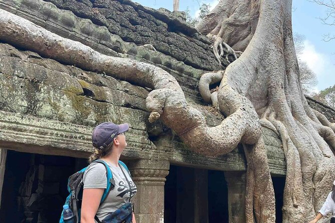 2-Day Phnom Penh to Siem Reap and Angkor Wat Temples - Who This Tour Suits Best (and Who Might Want Something Different)