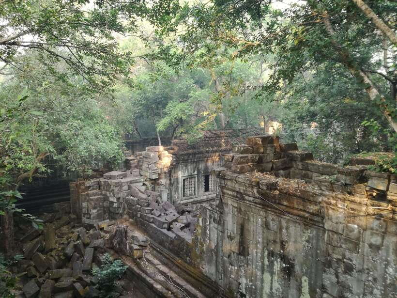 Angkor Temples Highlights Tour: 2 Days with Sunrise - Ta Prohm: where the trees grab the spotlight