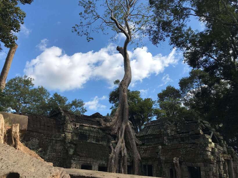 Angkor Temples Highlights Tour: 2 Days with Sunrise - Day 2 on the Grand Circuit: temples with less pressure