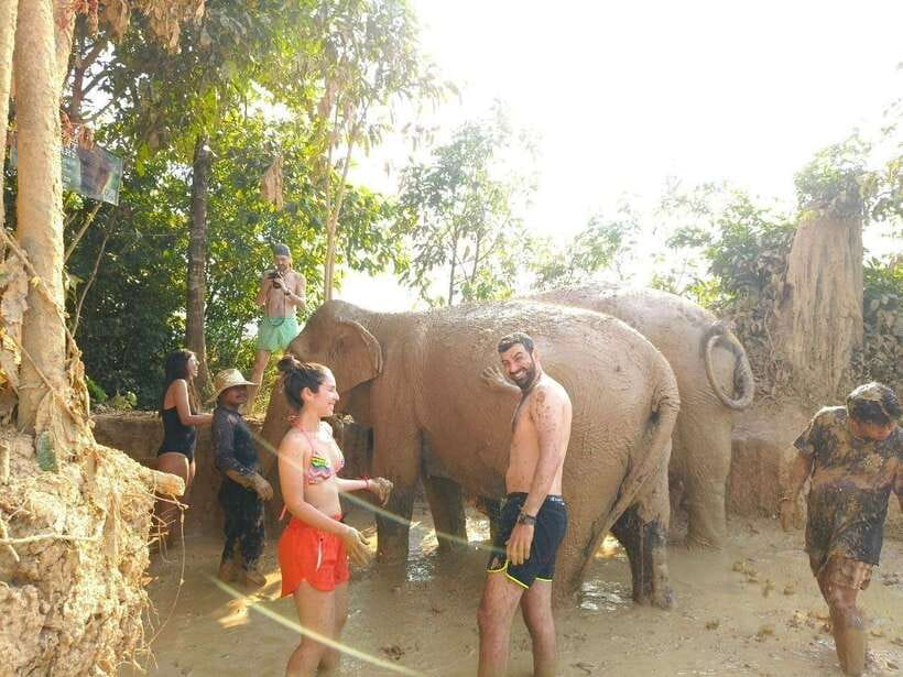 From Siem Reap: Elephant Sanctuary Experience with Transfers - Feeding time: handmade snacks and the feeling of doing it right