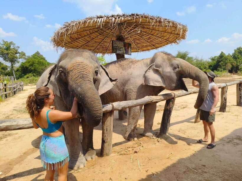 From Siem Reap: Elephant Sanctuary Experience with Transfers - Mud bath at the pond: play, choice, and a real wet learning curve