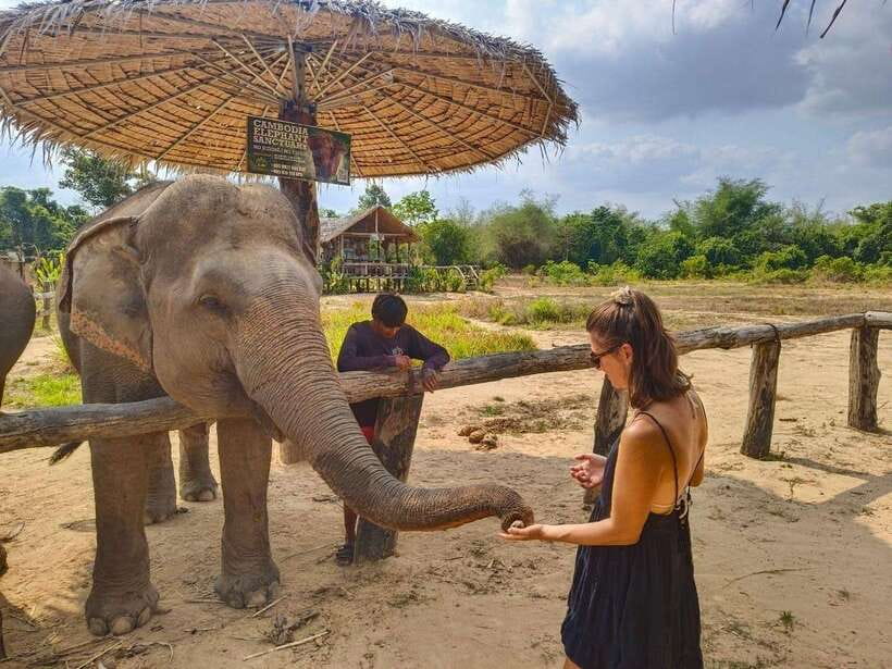 From Siem Reap: Elephant Sanctuary Experience with Transfers - River or creek bathing: the moment many people remember forever