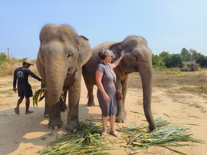 From Siem Reap: Elephant Sanctuary Experience with Transfers - The pace, the group size, and what your 3.5 to 6 hours actually feels like