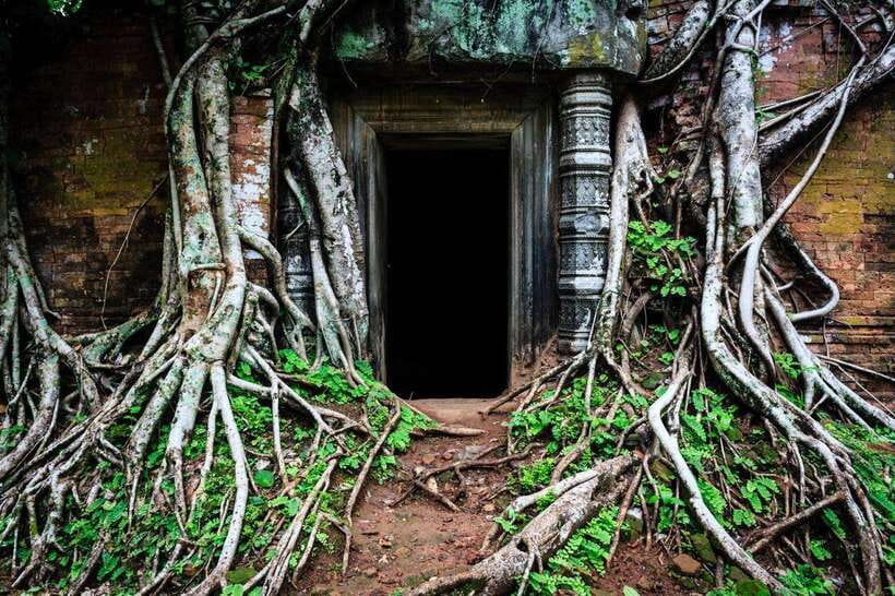 From Siem Reap: Koh Ker and Beng Mealea Temples Tour - Lunch stop: how to eat well without slowing the day down