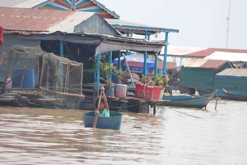 From Siem Reap: Tonle Sap Floating Villages Tour - Bird sanctuary spotting: painted stork and spot-billed pelicans