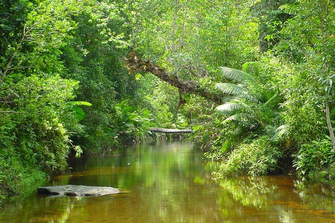 Kulen National Park Ticket - Inside Phnom Kulen National Park: the Reclining Buddha, the 1000 Lingas, and the waterfall
