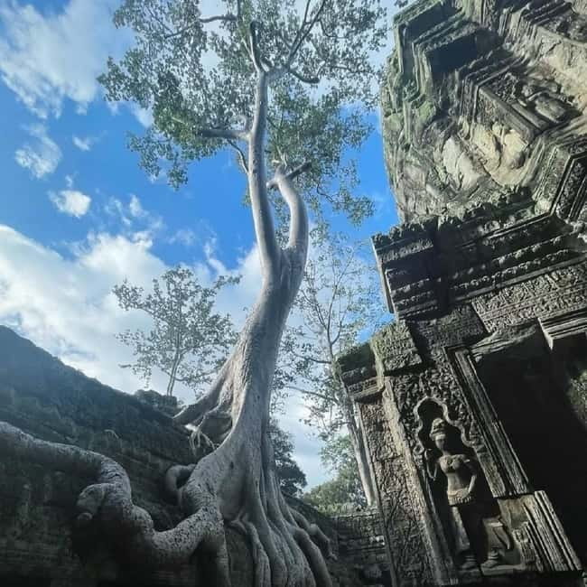 Siem Reap: Angkor 1-Day Private Tour with Sunset or Sunrise - Dress Code and Packing: Don’t Get Turned Away at the Door