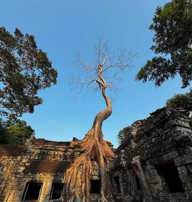 Siem Reap: Angkor 1-Day Private Tour with Sunset or Sunrise - Angkor Wat in One Day: What $110 Gets You (and What It Doesn’t)