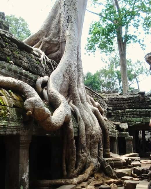 Siem Reap: Angkor 1-Day Private Tour with Sunset or Sunrise - Transport That Actually Helps: Tuk-Tuk vs Car Timing