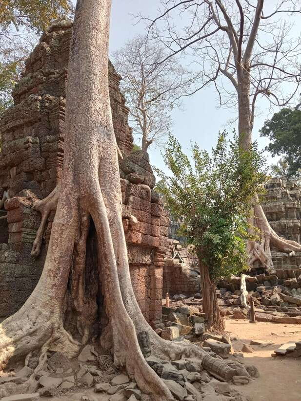 Siem Reap: Angkor Full-Day Group Tour with Japanese Guide - Key Highlights You’ll Actually Care About