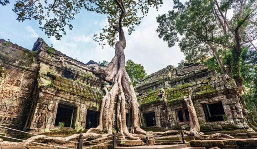Siem Reap: Angkor Wat Tour Explore The Most Iconic Temples - Price and logistics: $24 value depends on one thing