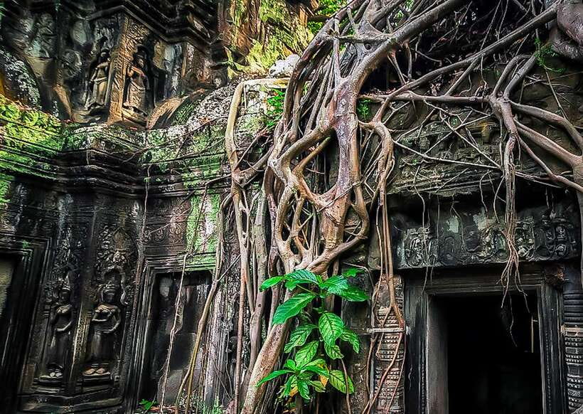 Siem Reap: Full-Day Angkor Wat Guided Tour with Sunset - The Terrace Highlights: Elephants and the Leper King