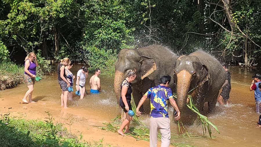 Siem Reap: Kulen Elephant Forest Guided Tour - Price and value: is $128 a good deal?