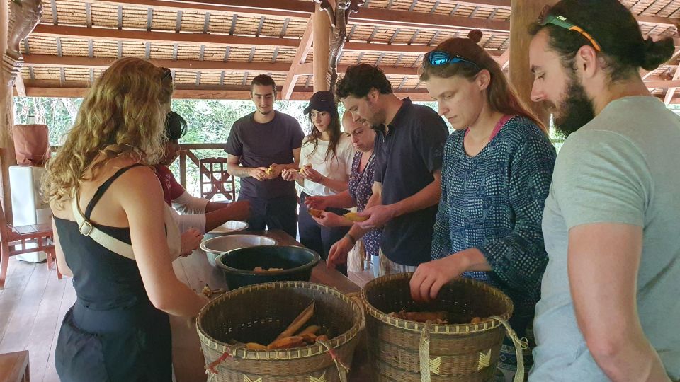 Siem Reap: Kulen Elephant Forest Guided Tour - Trekking into the forest: the walk where elephants lead