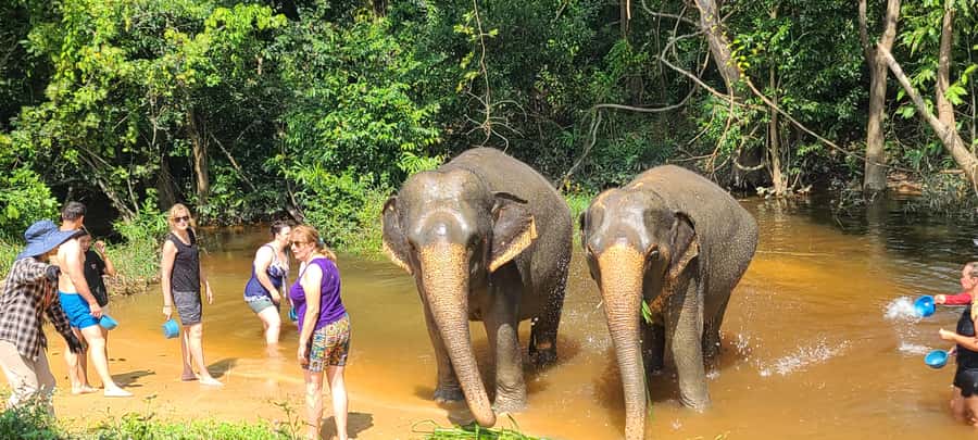 Siem Reap: Kulen Elephant Forest Guided Tour - Guide and mahout style: what you gain when the explanations are good