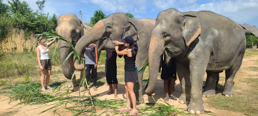 Siem Reap: Kulen Elephant Forest Guided Tour - Getting there: the meeting point near Angkor Village Hotel and the drive out