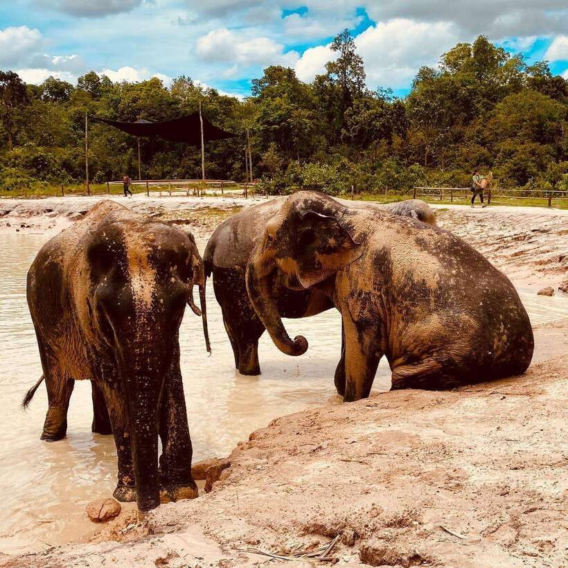 Siem Reap: Kulen Elephant Forest & Tonlesap Lake - A One-Day Circuit: From Siem Reap to Kulen and Tonle Sap