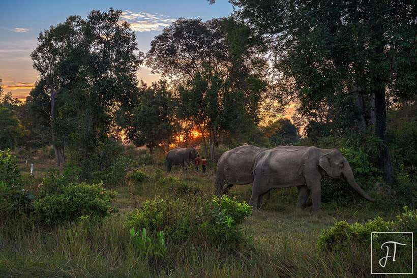 Siem Reap: Kulen Elephant Forest & Tonlesap Lake - Your Guide and Driver: Why Names Actually Matter Here
