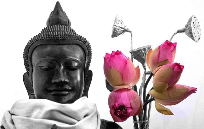 Siem Reap Lotus Silk Farm Discovery tour & Lake experience - How the 2.5-Hour Tour Runs From Biolab Café
