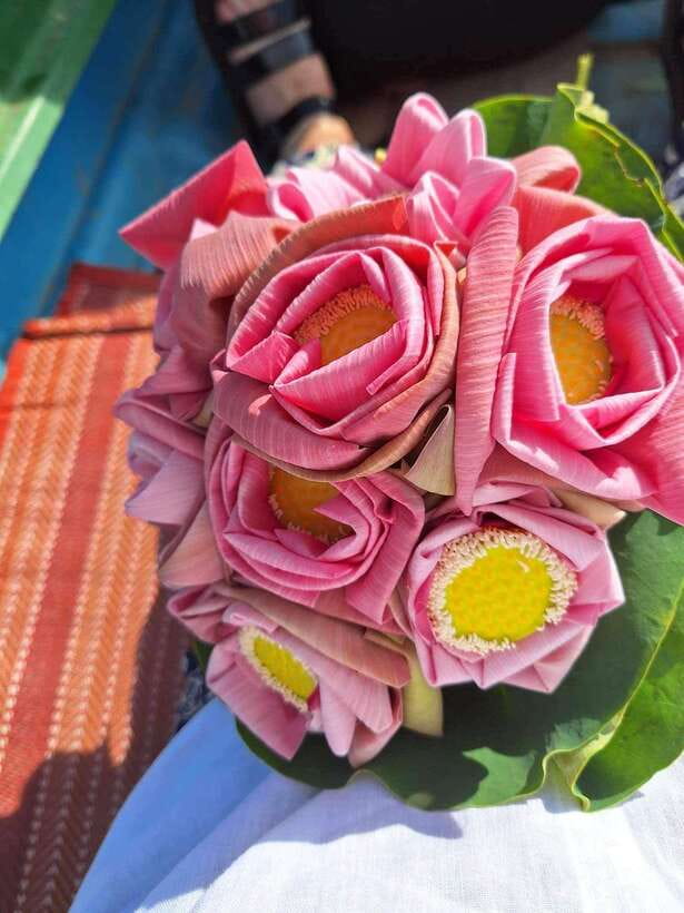 Siem Reap Lotus Silk Farm Discovery tour & Lake experience - Rooftop Lotus Tea, Biscuits, and Boutique Time