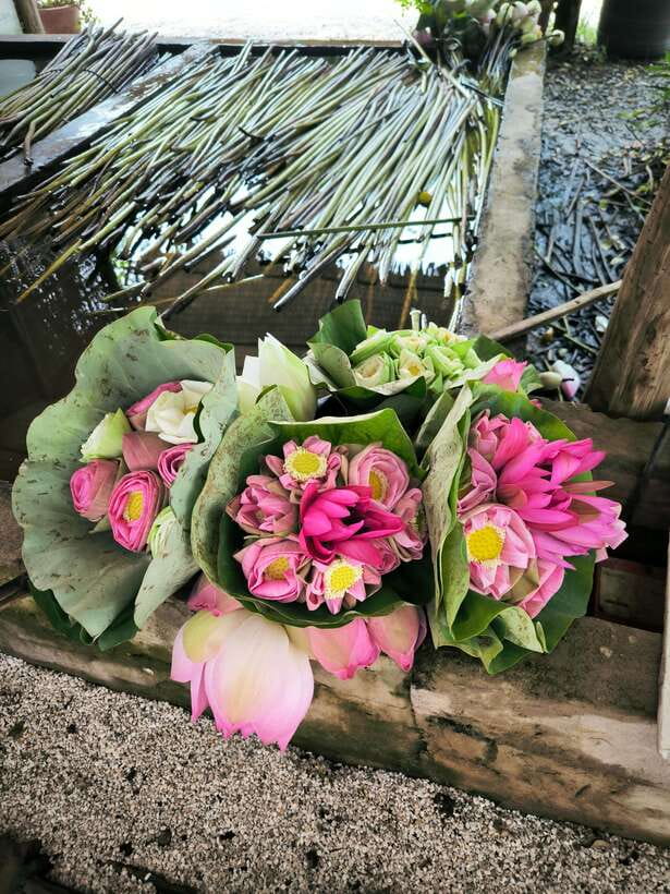 Siem Reap Lotus Silk Farm Discovery tour & Lake experience - Who Should Book This (and Who Might Skip It)