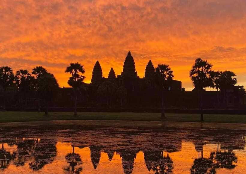 Sunrise at Angkor Wat and Small Tour with Tours Guide - Ta Prohm: when trees stop being scenery and become part of the ruin