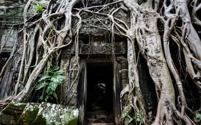 Sunrise at Angkor Wat and Small Tour with Tours Guide - Timing, comfort, and what rules matter